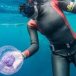 Článek o kurzech Freediver úroveň 2 a 3 v Egyptském Dahabu, duben 2016 Článek o kurzech Freediver úroveň 2 a 3 v Egyptském Dahabu, duben 2016