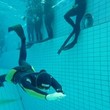 Únor  - bazénový kurz potápění na nádech